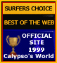 Calypso's World Wins the Surfer Choice Award!