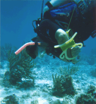 John Scuba Diving off Cozumel, Mexico on our honeymoon - 8/26/98