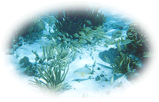 Key West - 9/15/98
