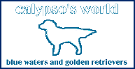 Calypso's World of Blue Waters and Golden Retrievers, literature, poetry, engineering, the arts, politics, music and more