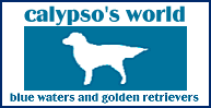 Calypso's World of Blue Waters and Golden Retrievers, literature, poetry, engineering, the arts, politics, music and more