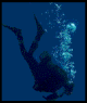 scuba, fishing