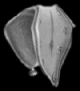 time.gif (21499 bytes)